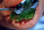 g�tterspeise