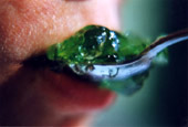 g�tterspeise