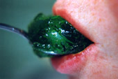 g�tterspeise