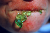 g�tterspeise